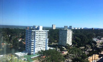 Amplio apto sobre Roosevelt, con excelente vista al bosque y a la Playa