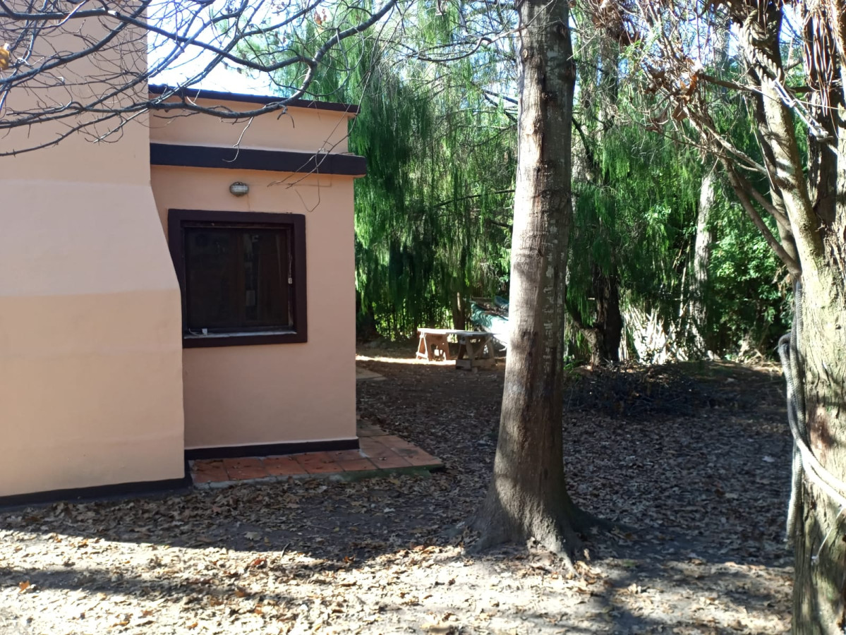 Casa ID.879 - Casa en Punta Ballena, 3 dormitorios *