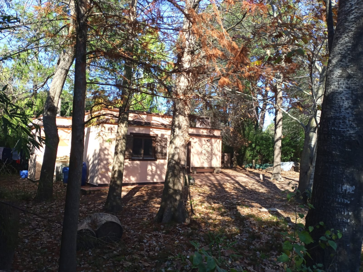 Casa ID.879 - Casa en Punta Ballena, 3 dormitorios *