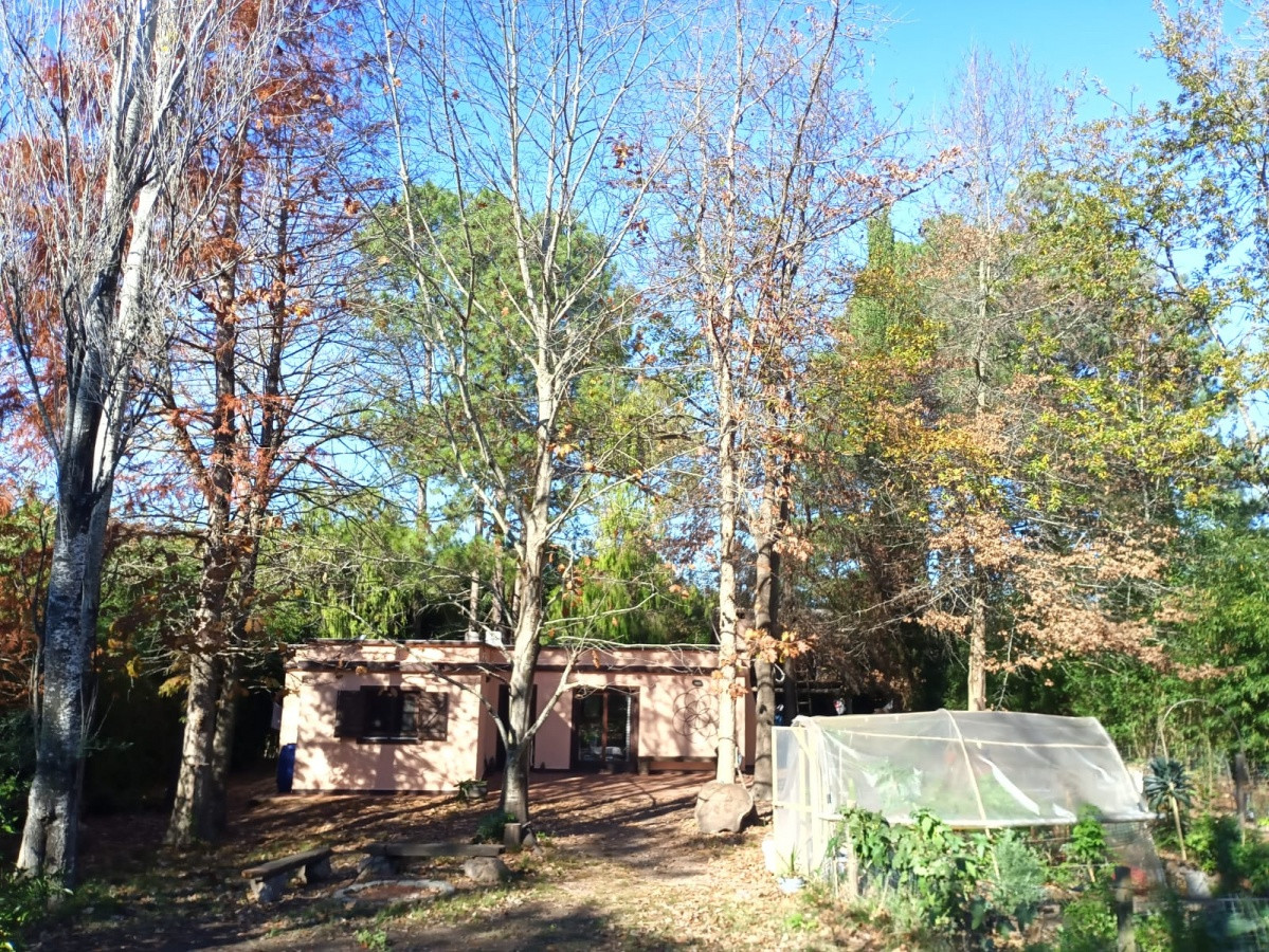 Casa ID.879 - Casa en Punta Ballena, 3 dormitorios *