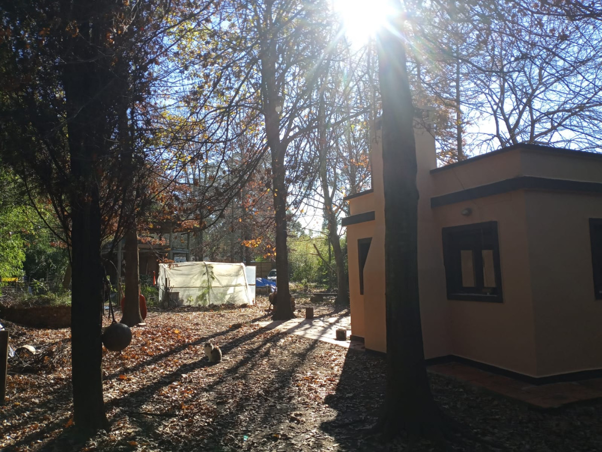 Casa ID.879 - Casa en Punta Ballena, 3 dormitorios *