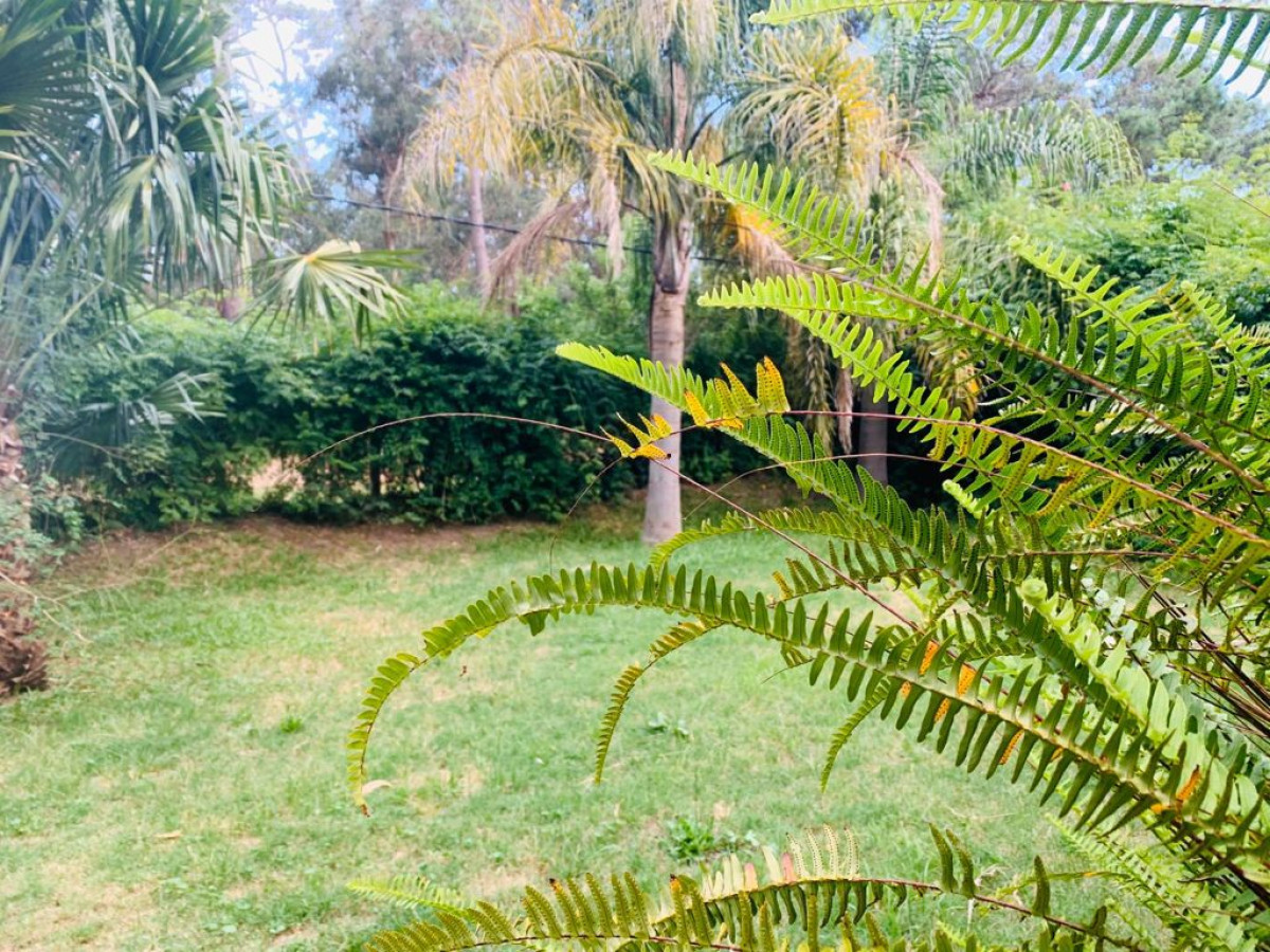 Casa ID.291 - HERMOSA CASA!!