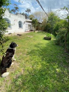 Se vende muy linda casa