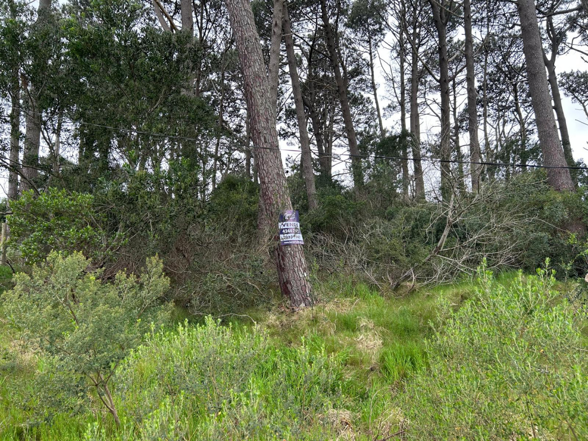 Terreno ID.2879 - Terreno en Club Del Lago 