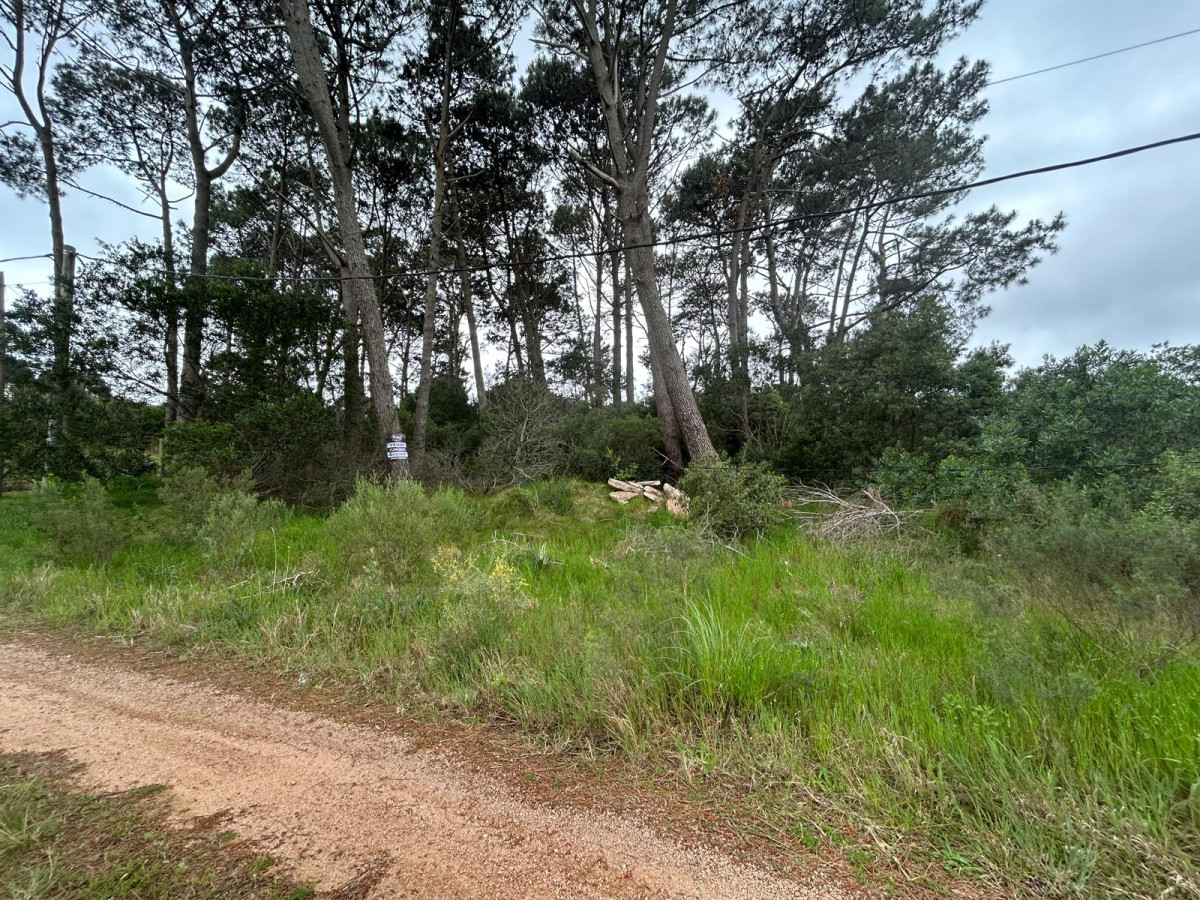 Terreno ID.2879 - Terreno en Club Del Lago 