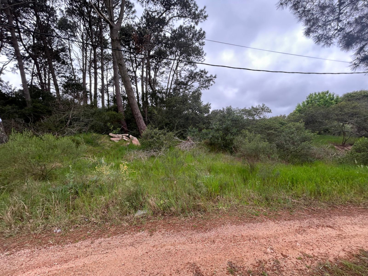 Terreno ID.2879 - Terreno en Club Del Lago 