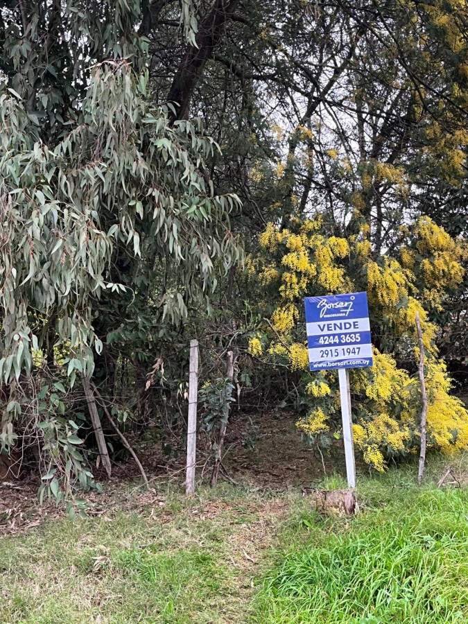 Terreno ID.2944 - Hermoso terreno en venta en balneario Playa Hermosa!!