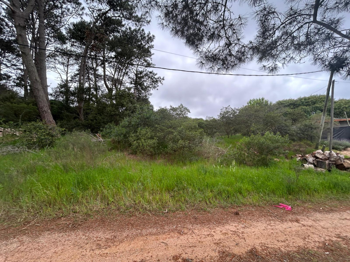 Terreno ID.2879 - Terreno en Club Del Lago 