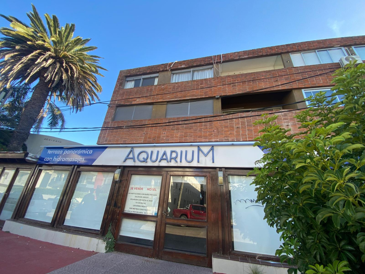 Península - GoPunta - Portal Inmobiliario de Punta del Este - Maldonado