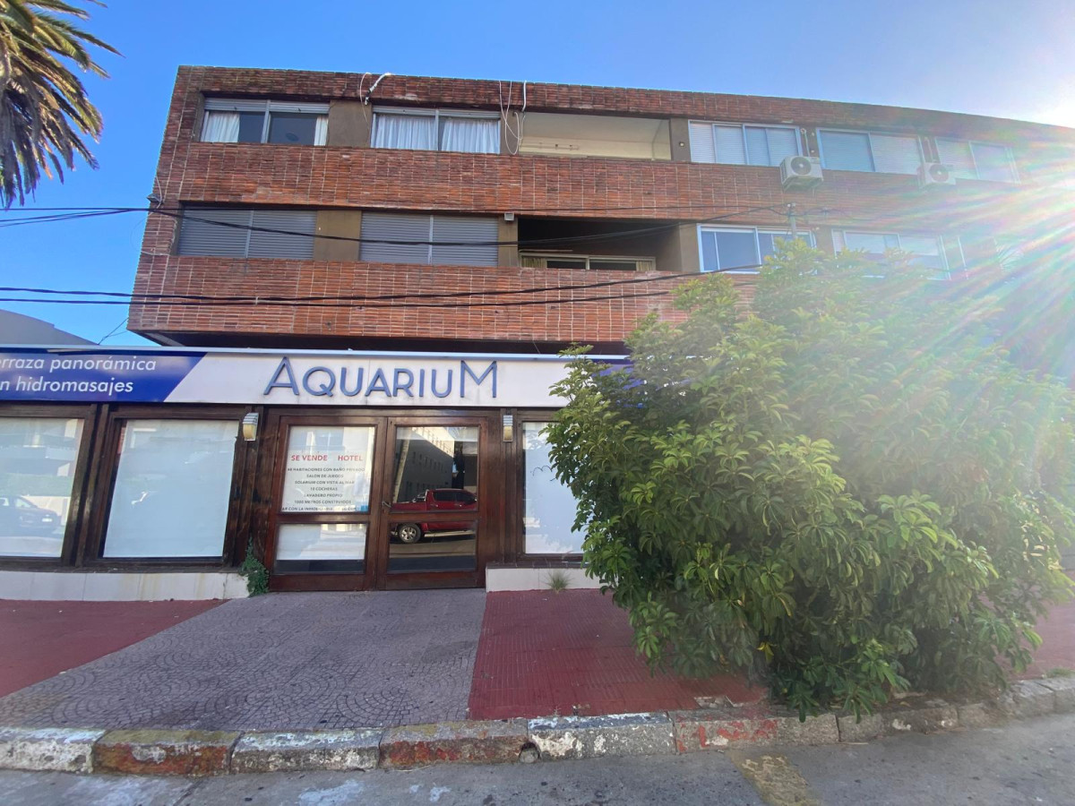 Península - GoPunta - Portal Inmobiliario de Punta del Este - Maldonado