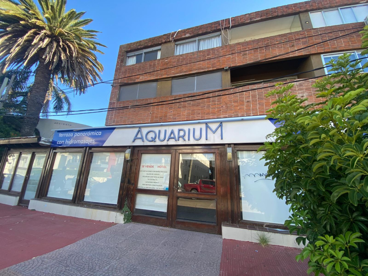 Península - GoPunta - Portal Inmobiliario de Punta del Este - Maldonado