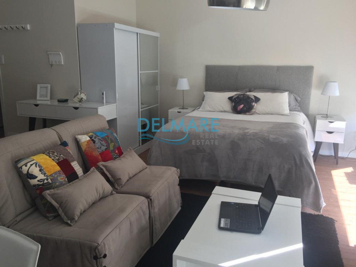 Apartamento ID.43 - Monoambiente muy luminoso