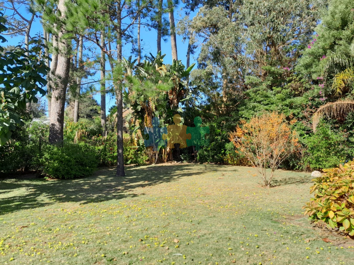 Pinares - GoPunta - Portal Inmobiliario de Punta del Este - Maldonado