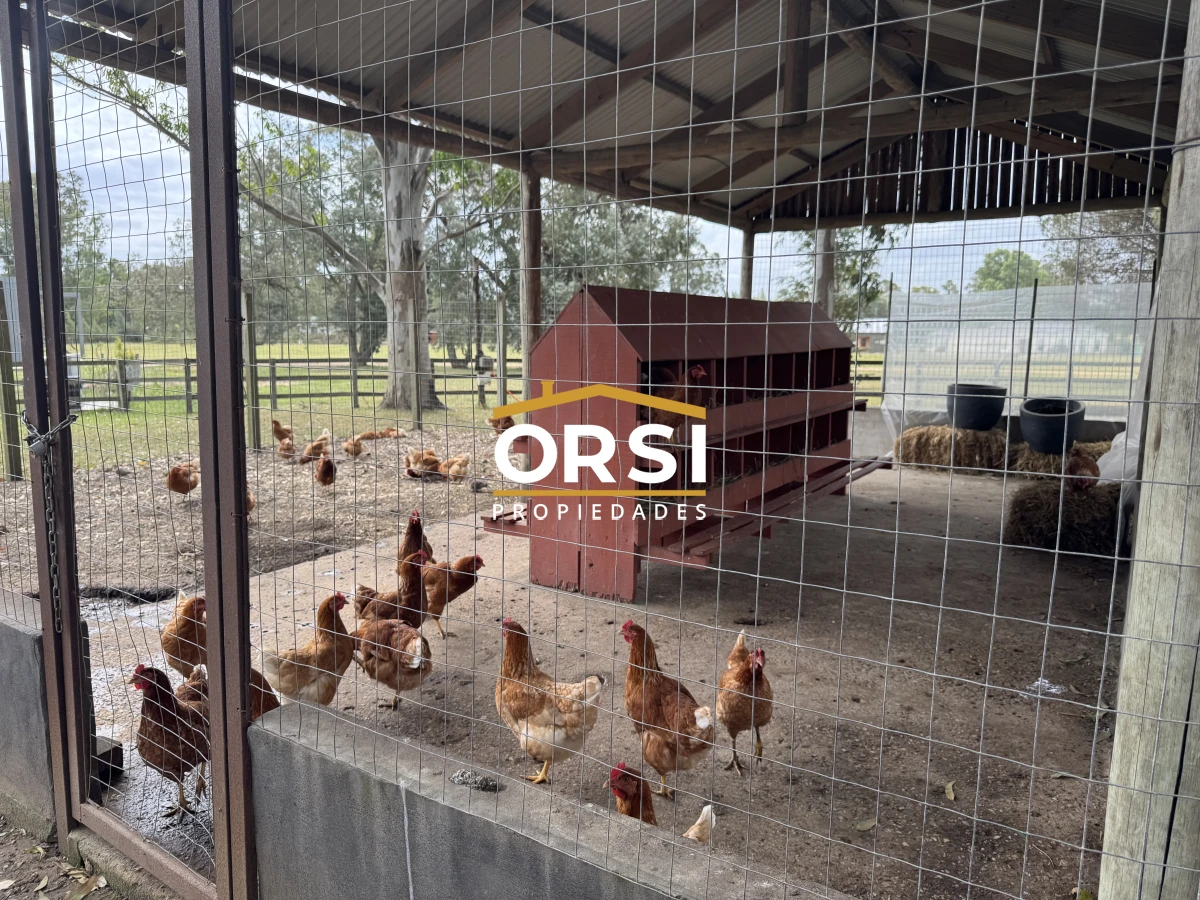 Casa ID.335 - Barrio Don Miguel, 4 dorm con calefaccion central