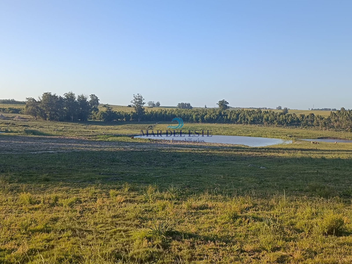 Chacra ID.10 - Venta chacra 5 hectáreas 