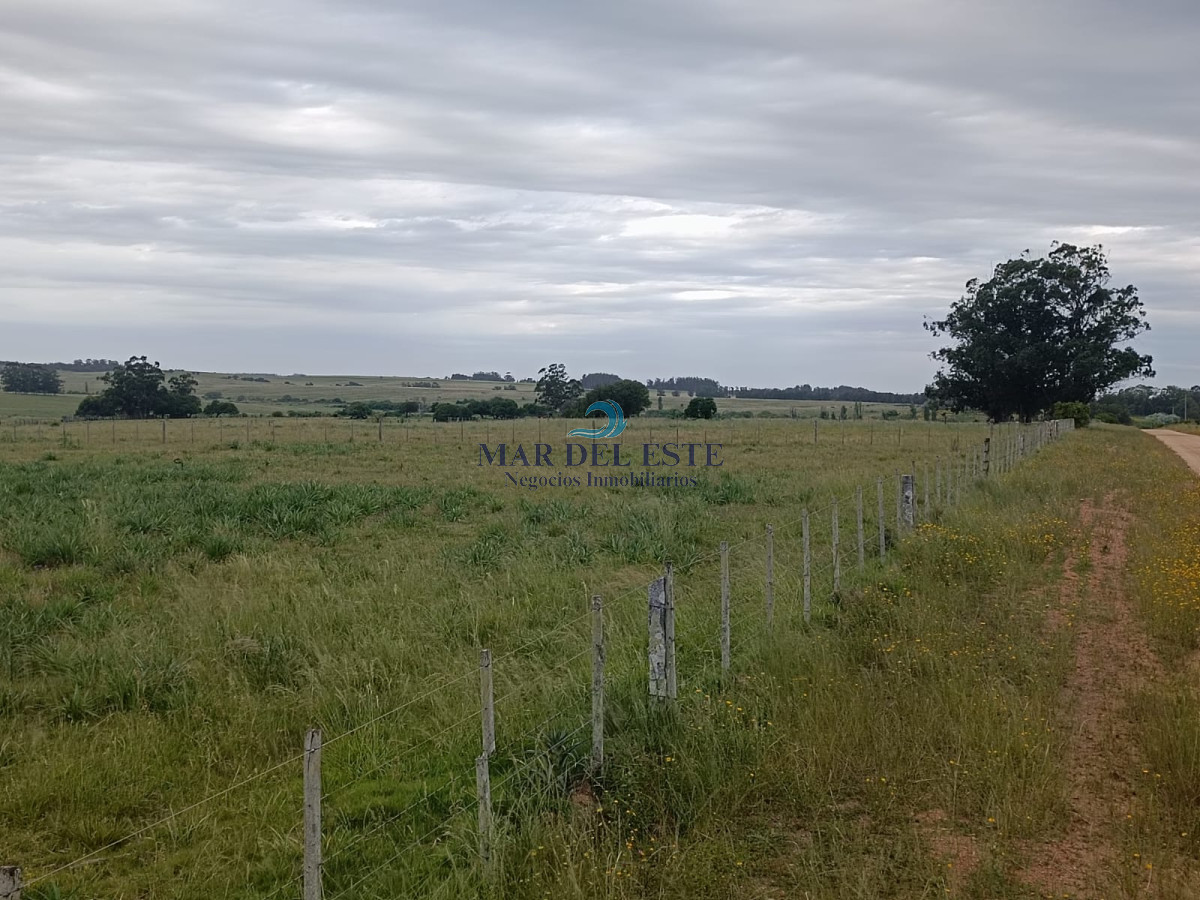 Chacra ID.10 - Venta chacra 5 hectáreas 