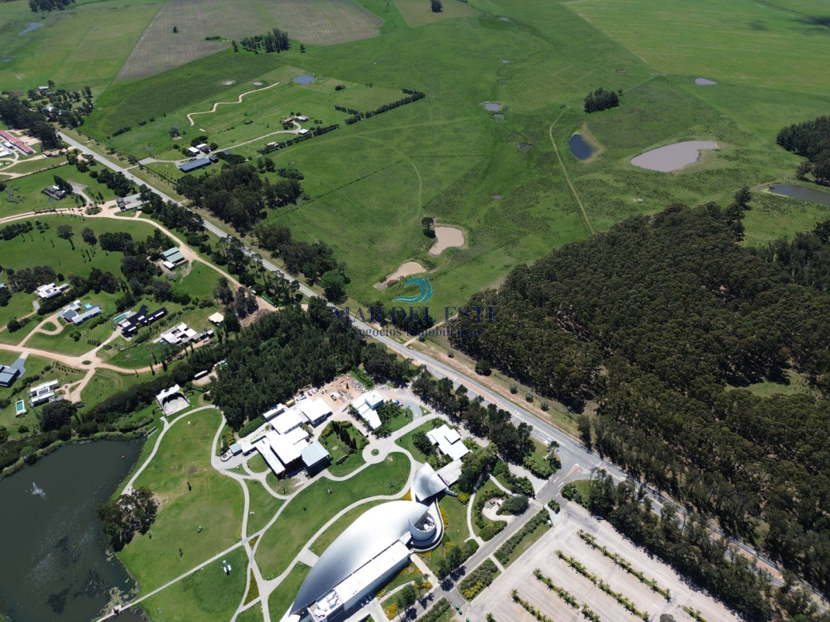 Campo Ref.95 - CHACRA DE 43 HAS .R 104