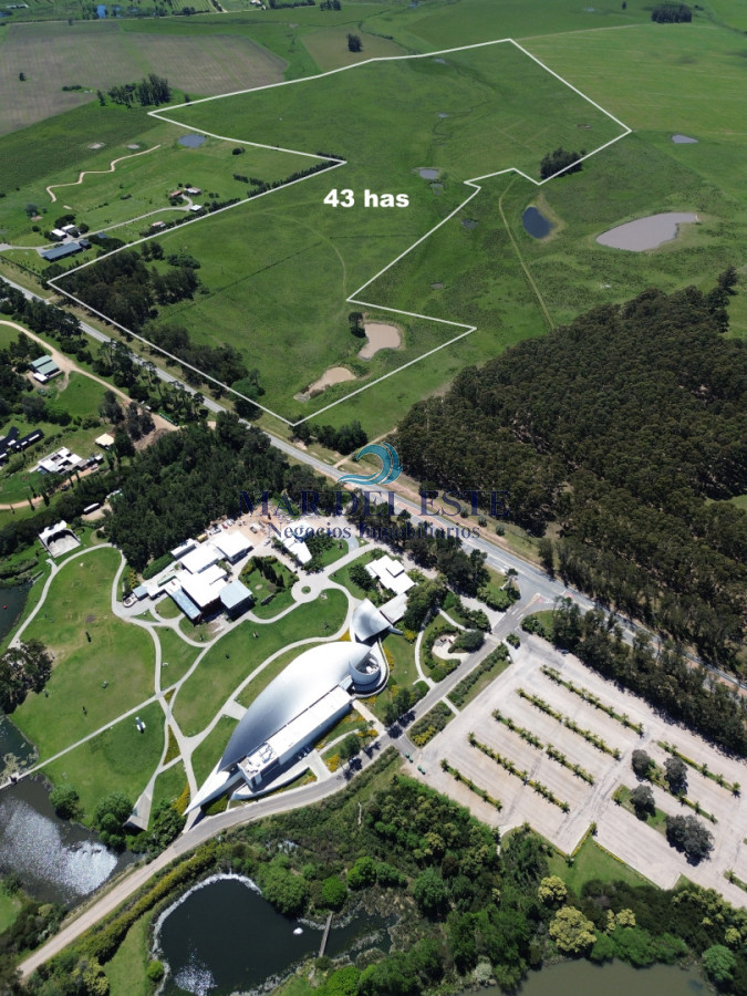 Campo Ref.95 - CHACRA DE 43 HAS .R 104