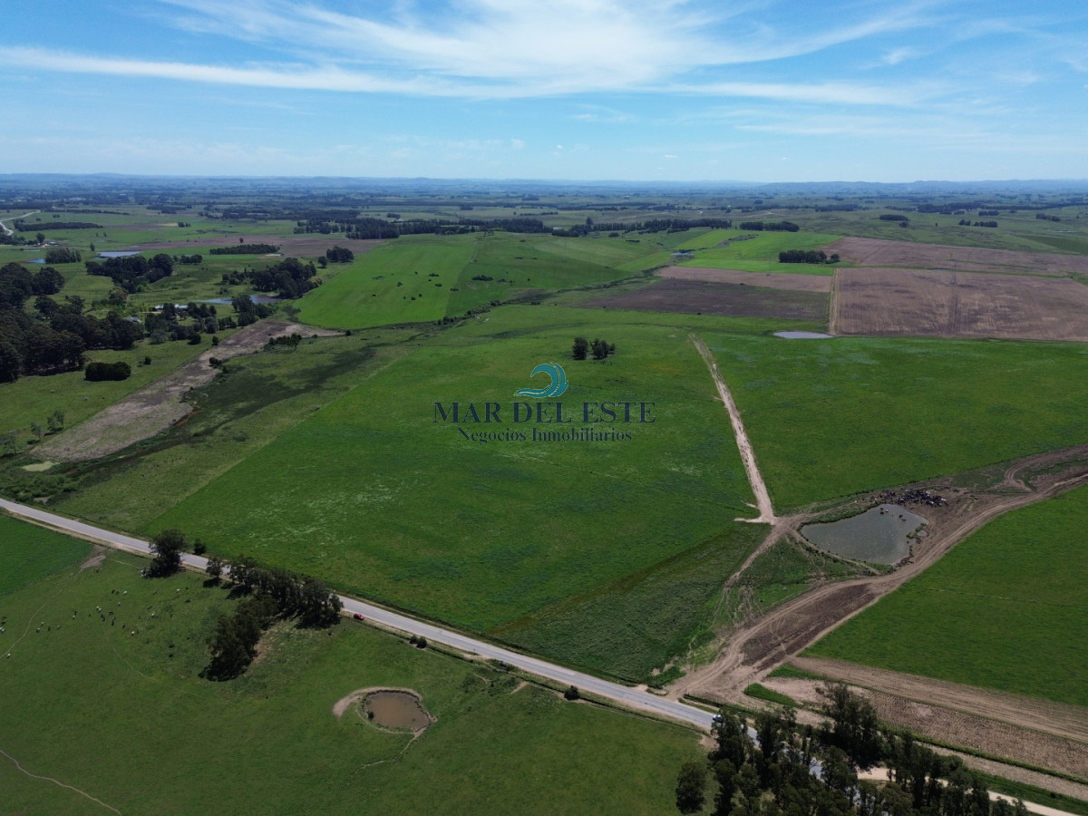 Campo Ref.96 - Chacra de 42 has. Entre R.104 y Camino Medellín