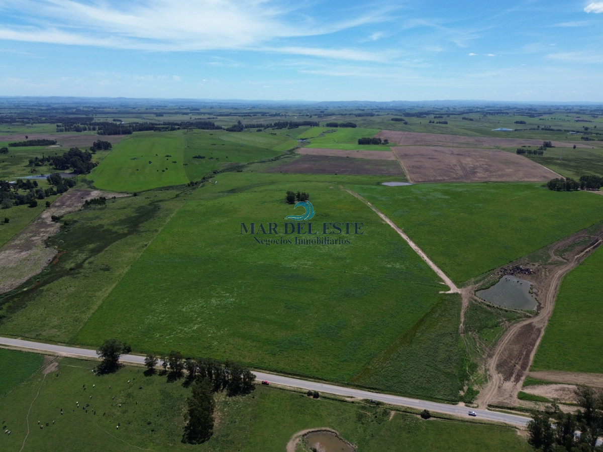 Campo Ref.96 - Chacra de 42 has. Entre R.104 y Camino Medellín