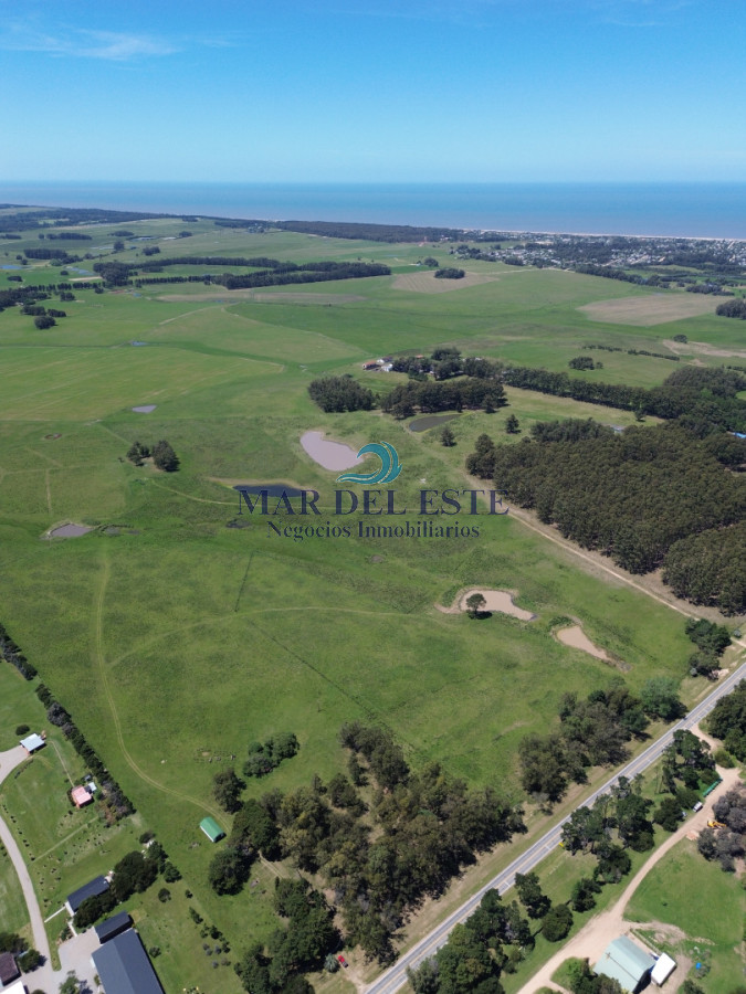 Campo Ref.95 - CHACRA DE 43 HAS .R 104