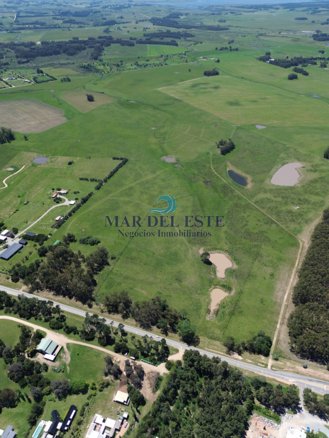 Campo Ref.95 - CHACRA DE 43 HAS .R 104