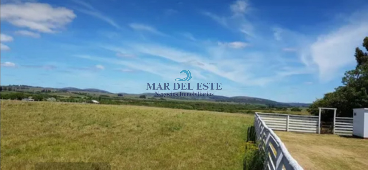 Campo Ref.54 - Campo en ruta 39