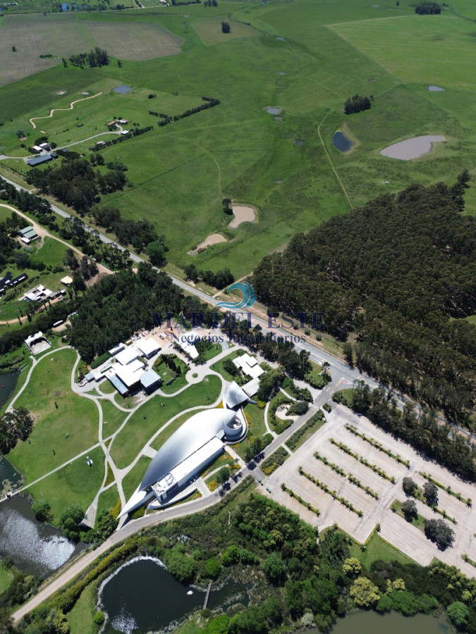 Campo Ref.95 - CHACRA DE 43 HAS .R 104