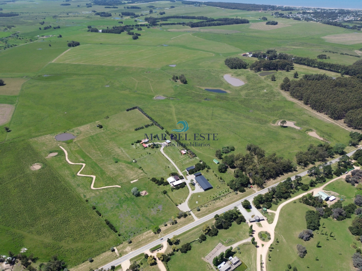 Campo Ref.95 - CHACRA DE 43 HAS .R 104