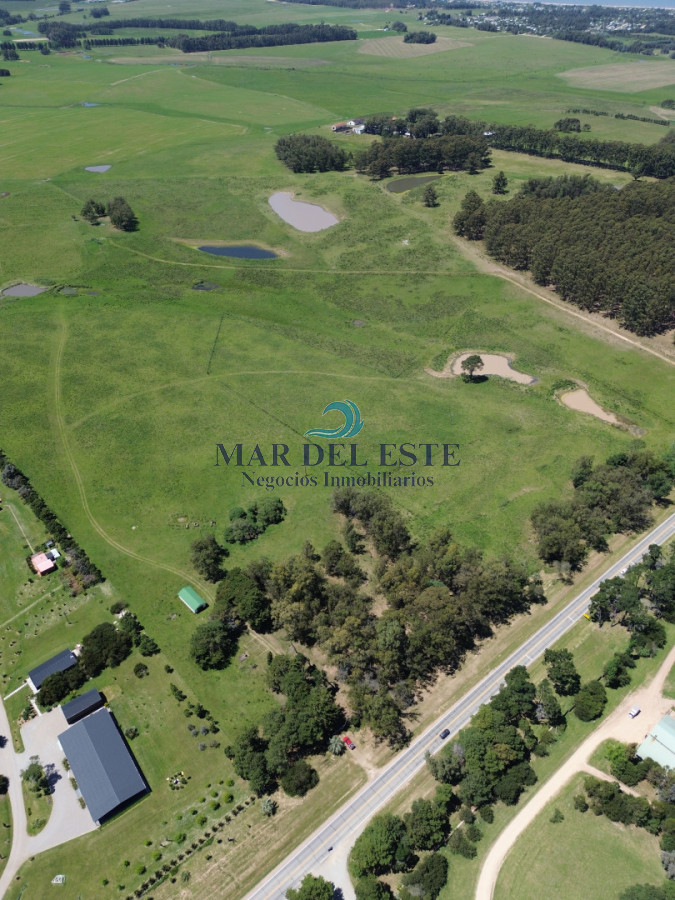 Campo Ref.95 - CHACRA DE 43 HAS .R 104