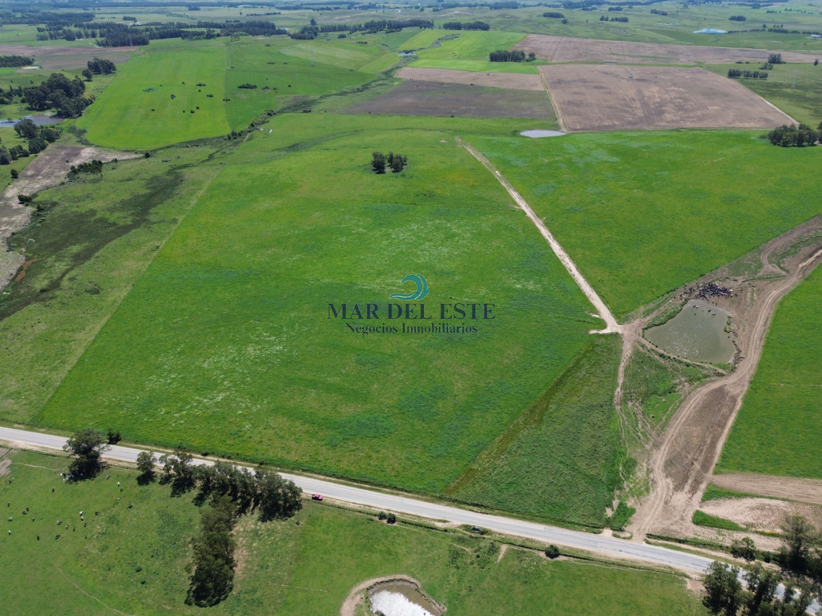 Campo Ref.96 - Chacra de 42 has. Entre R.104 y Camino Medellín