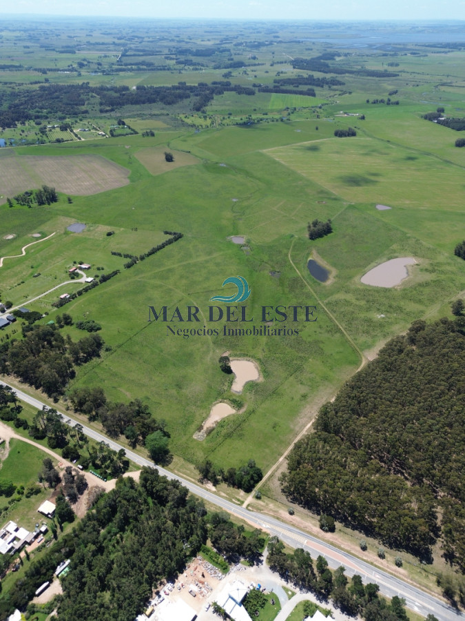 Campo Ref.95 - CHACRA DE 43 HAS .R 104