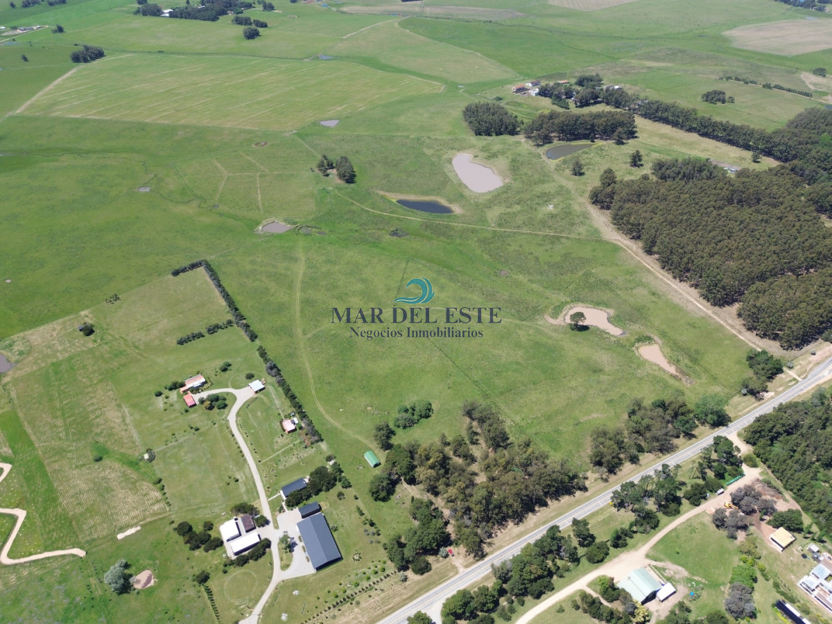 Campo Ref.95 - CHACRA DE 43 HAS .R 104