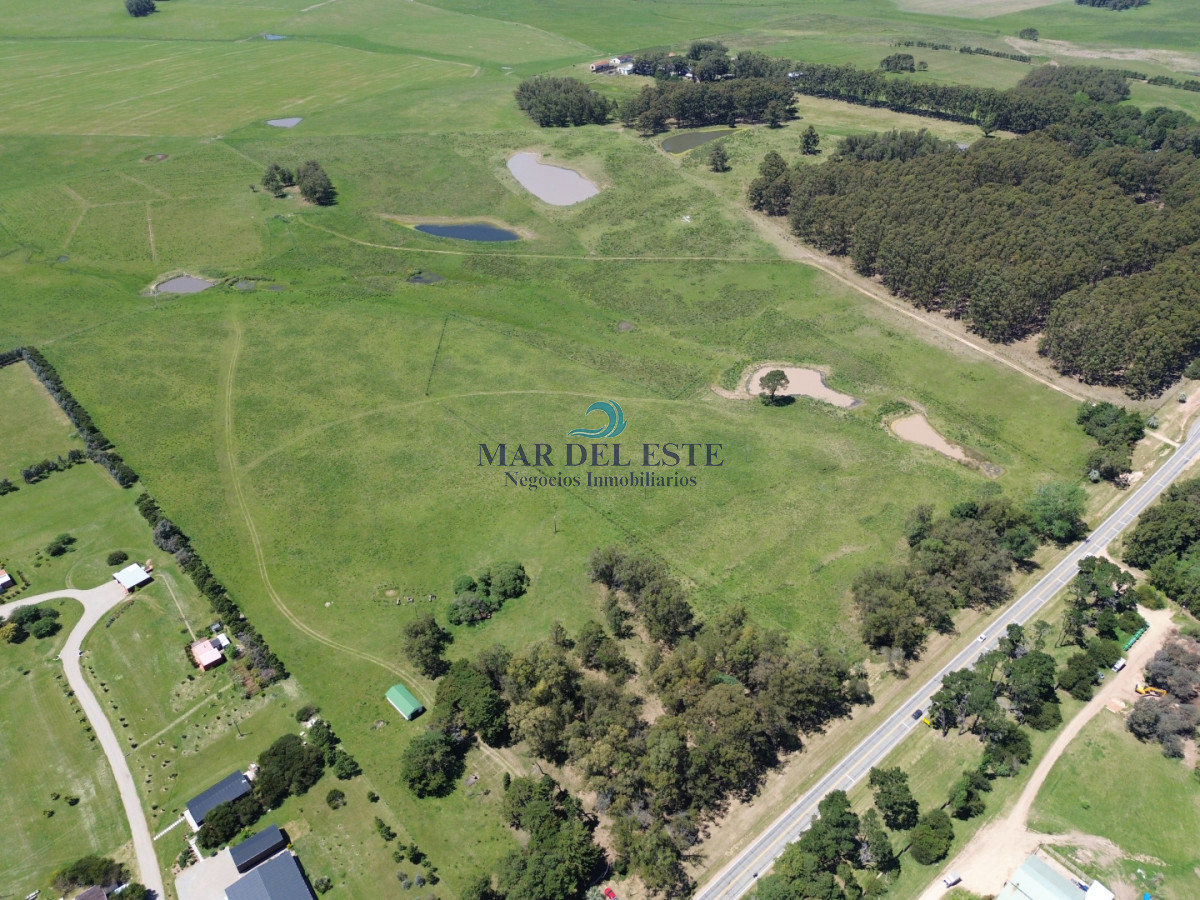 Campo Ref.95 - CHACRA DE 43 HAS .R 104