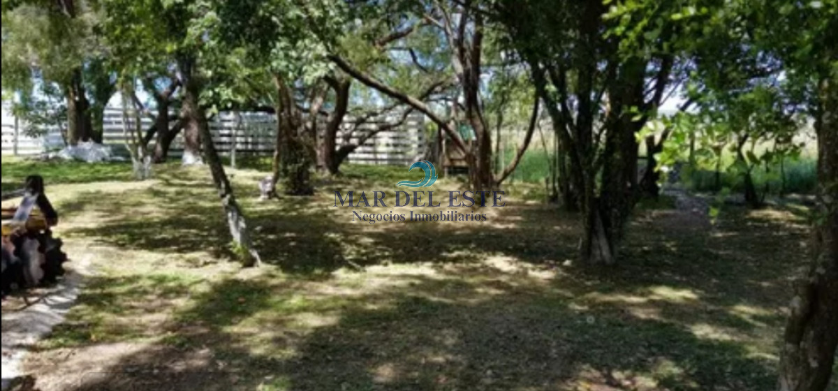 Campo Ref.54 - Campo en ruta 39