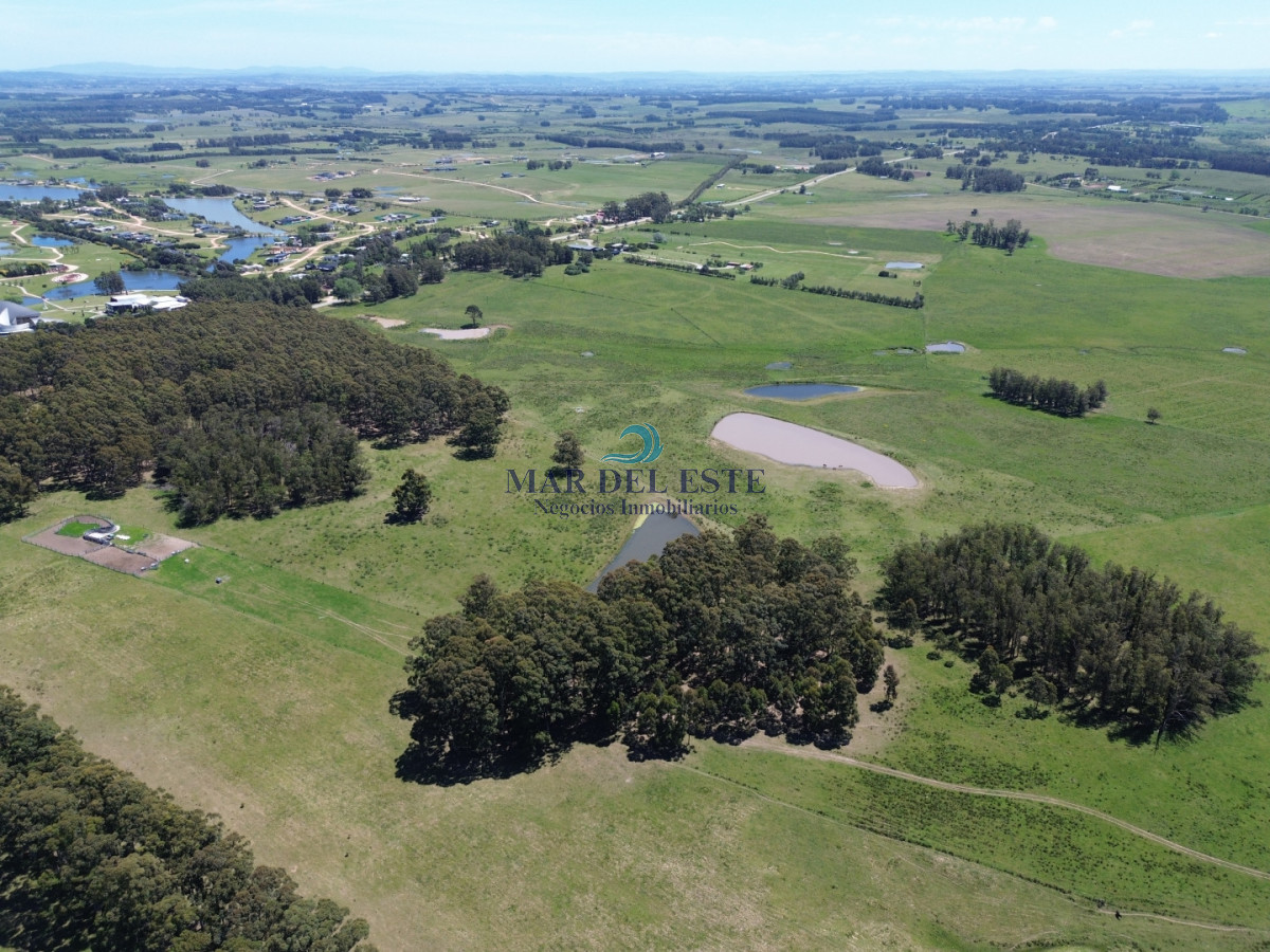 Campo Ref.95 - CHACRA DE 43 HAS .R 104