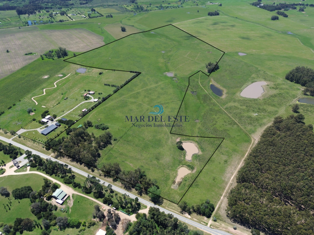 Campo Ref.95 - CHACRA DE 43 HAS .R 104