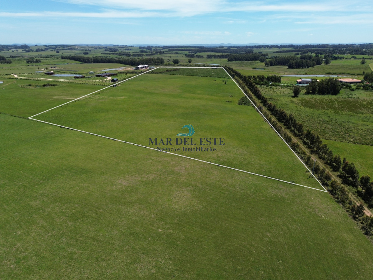 Campo Ref.97 - Chacra de 15 has. Ruta 104