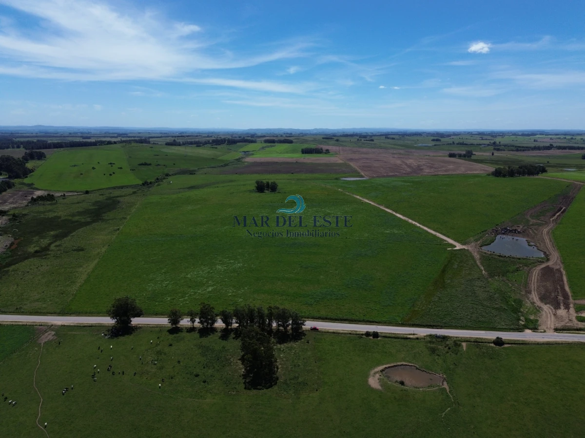 Campo Ref.96 - Chacra de 42 has. Entre R.104 y Camino Medellín