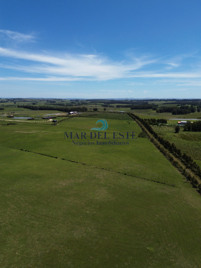 Campo Ref.97 - Chacra de 15 has. Ruta 104