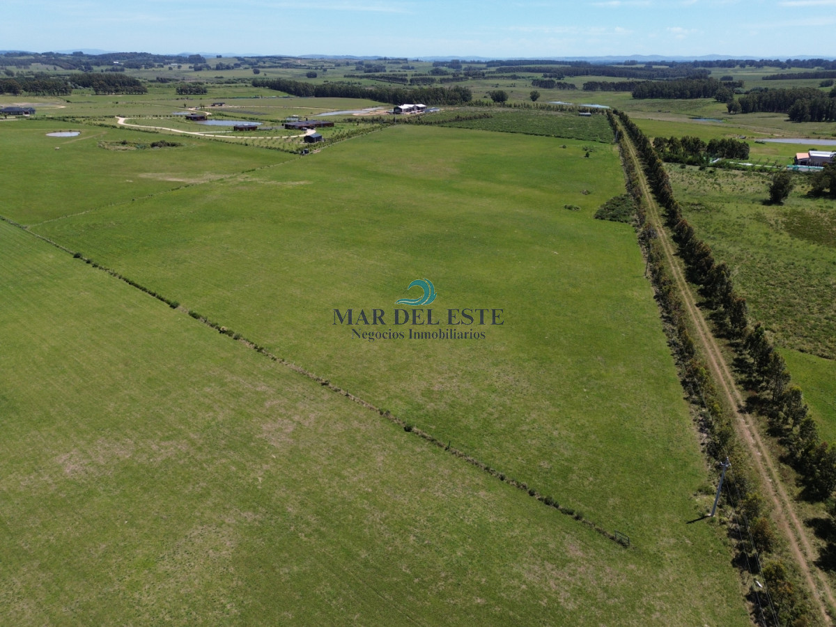 Campo Ref.97 - Chacra de 15 has. Ruta 104