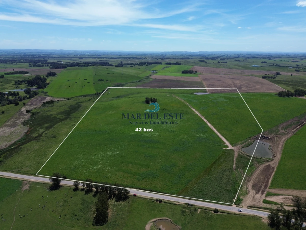 Campo Ref.96 - Chacra de 42 has. Entre R.104 y Camino Medellín