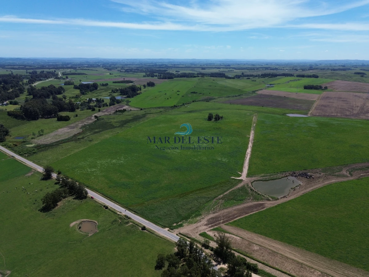 Campo Ref.96 - Chacra de 42 has. Entre R.104 y Camino Medellín