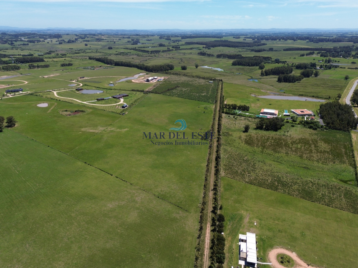 Campo Ref.97 - Chacra de 15 has. Ruta 104