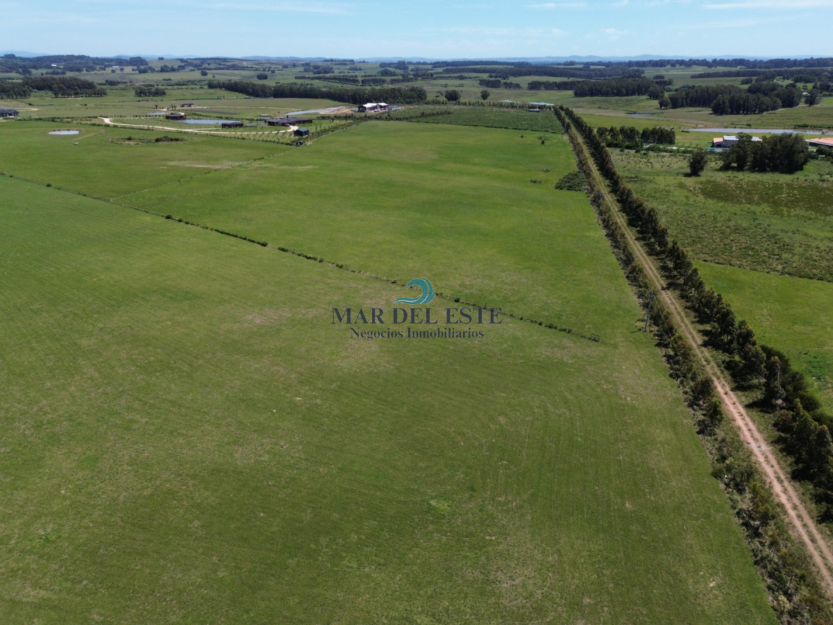 Campo Ref.97 - Chacra de 15 has. Ruta 104