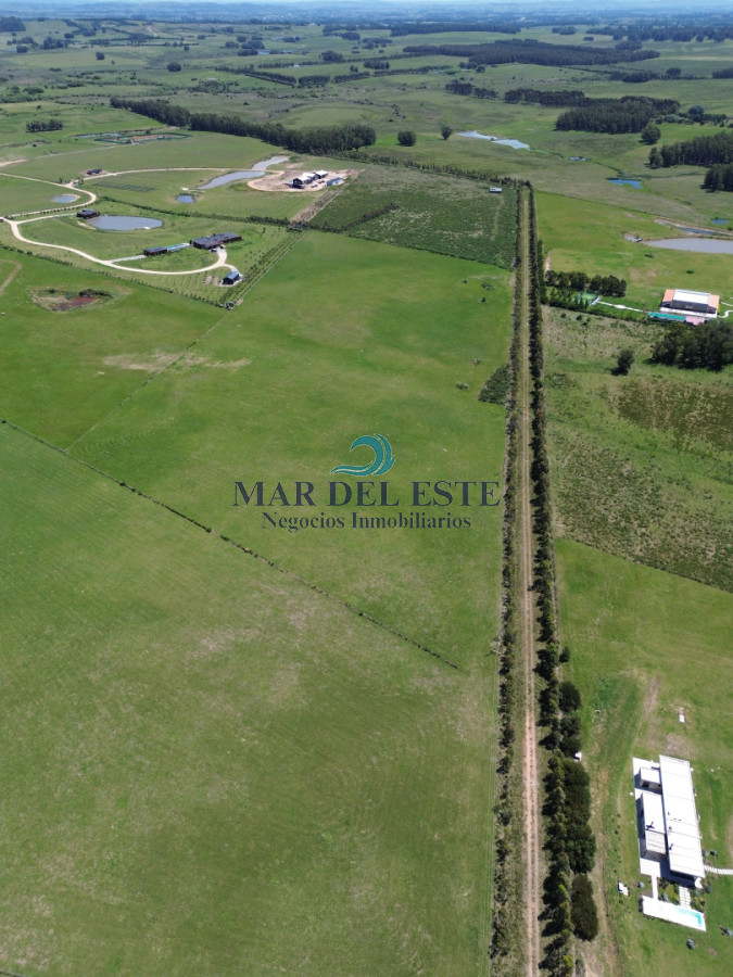 Campo Ref.97 - Chacra de 15 has. Ruta 104