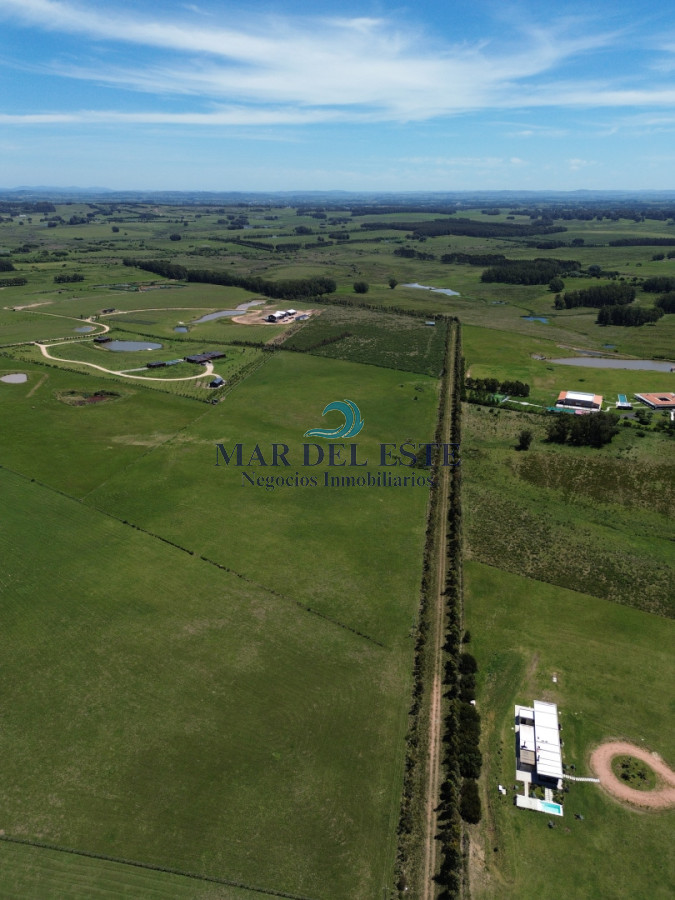 Campo Ref.97 - Chacra de 15 has. Ruta 104