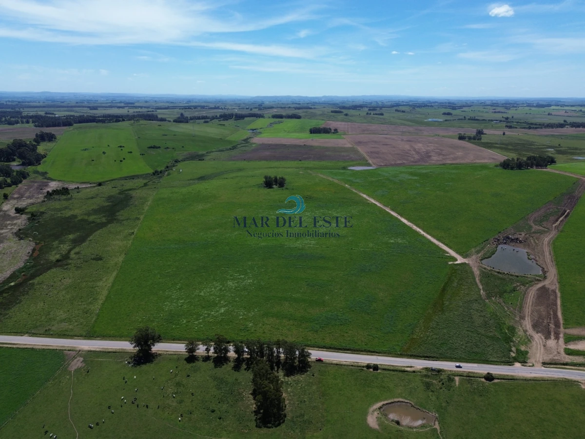 Campo Ref.96 - Chacra de 42 has. Entre R.104 y Camino Medellín