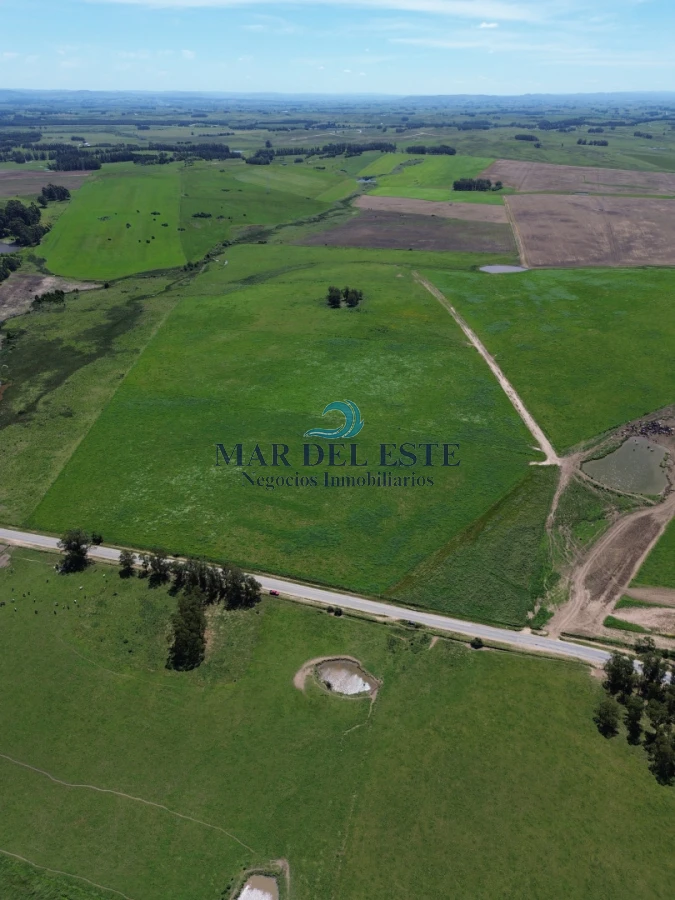 Campo Ref.96 - Chacra de 42 has. Entre R.104 y Camino Medellín