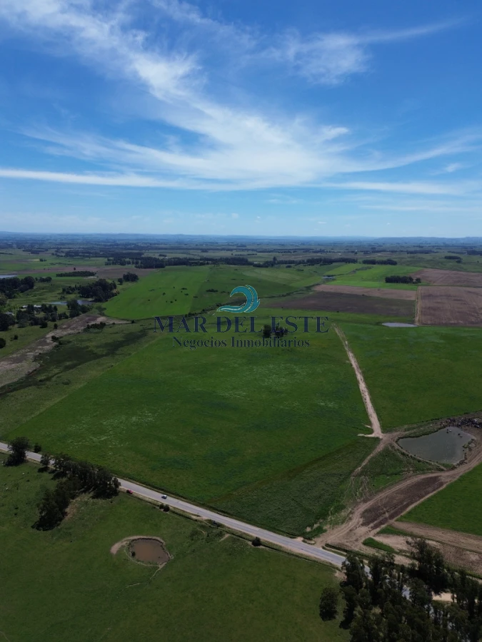 Campo Ref.96 - Chacra de 42 has. Entre R.104 y Camino Medellín